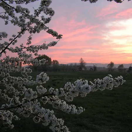 Farm stay Fattoria Grimana