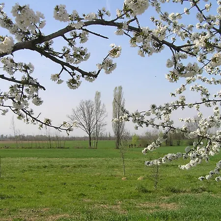 Fattoria Grimana