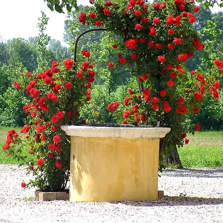 Bauernhof Fattoria Grimana Montegalda