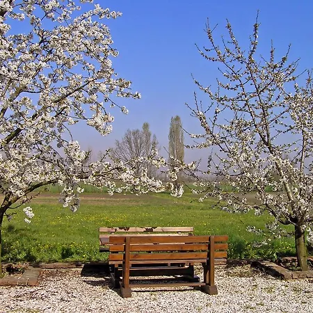 Fattoria Grimana Farm stay