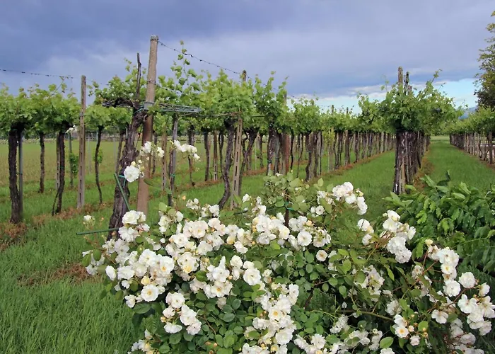 Farmház Fattoria Grimana Montegalda