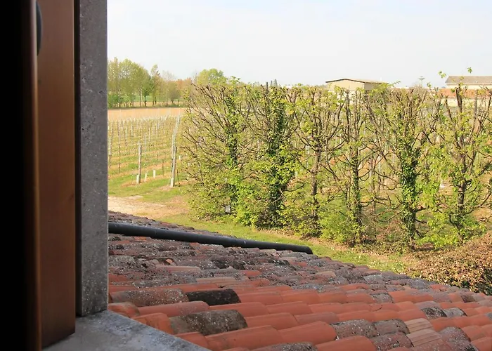 Fattoria Grimana * Montegalda