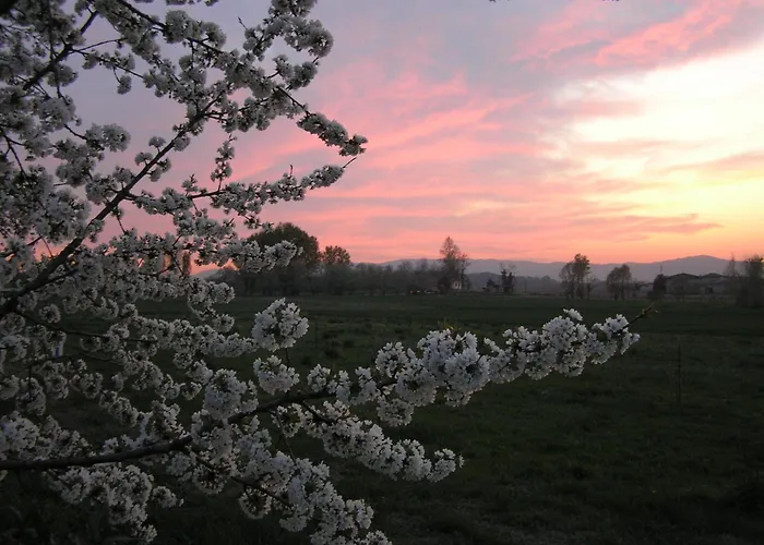 Farmház Fattoria Grimana