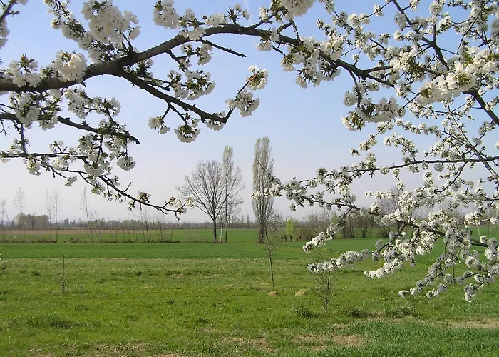 Fattoria Grimana