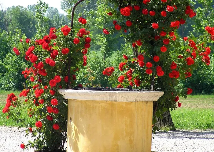 مزرعة للإقامة Fattoria Grimana Montegalda