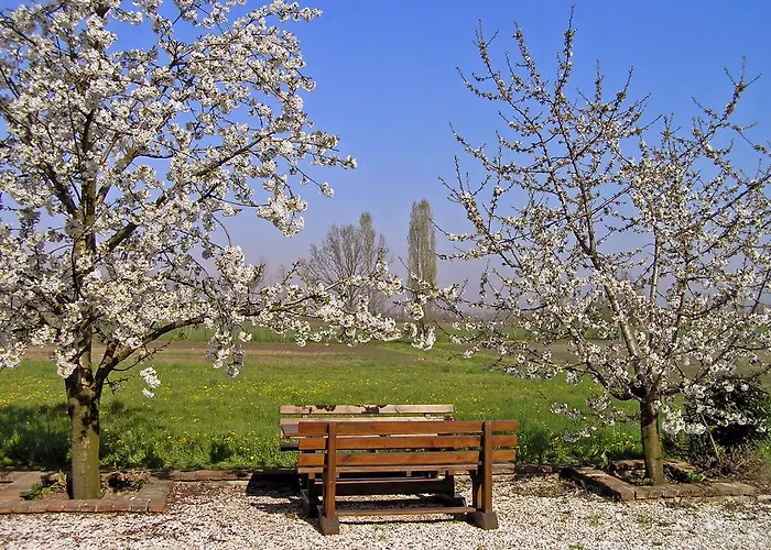 Fattoria Grimana مزرعة للإقامة