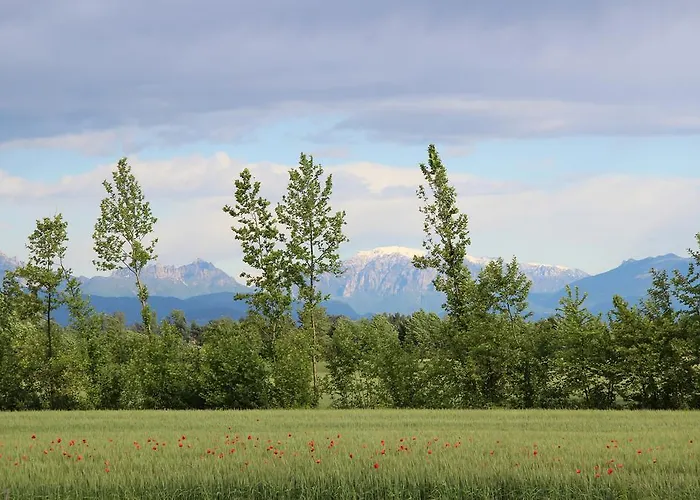 Fattoria Grimana * Montegalda