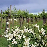 Lantgård Fattoria Grimana Montegalda