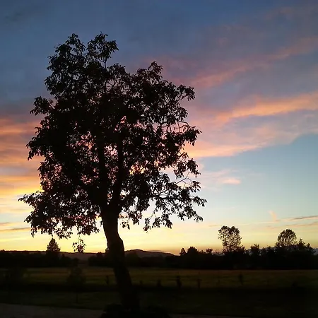 Fattoria Grimana * Montegalda