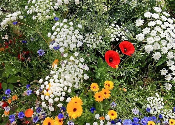 Fattoria Grimana Montegalda